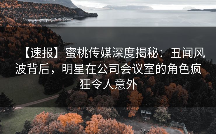 【速报】蜜桃传媒深度揭秘：丑闻风波背后，明星在公司会议室的角色疯狂令人意外