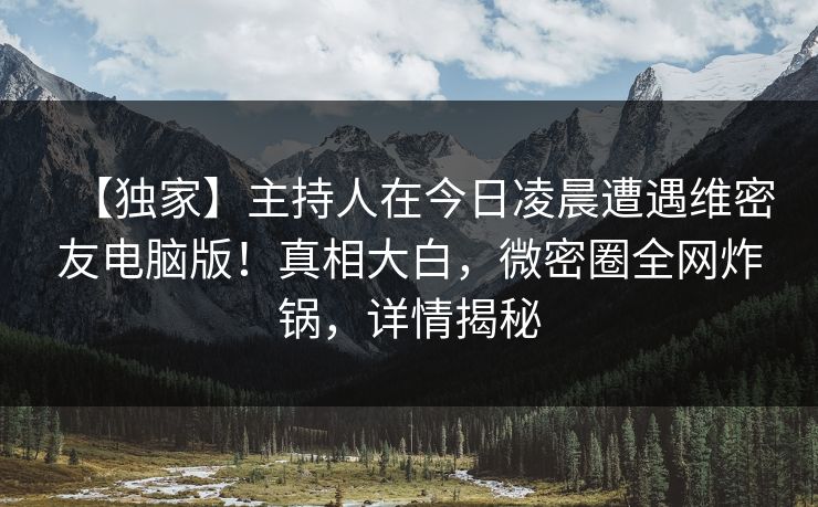 【独家】主持人在今日凌晨遭遇维密友电脑版!真相大白,微密圈全网炸锅,详情揭秘