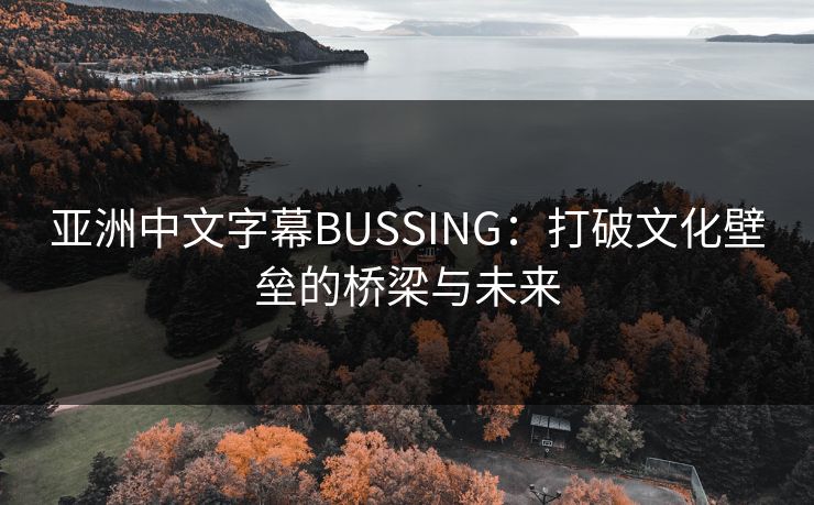 亚洲中文字幕BUSSING：打破文化壁垒的桥梁与未来